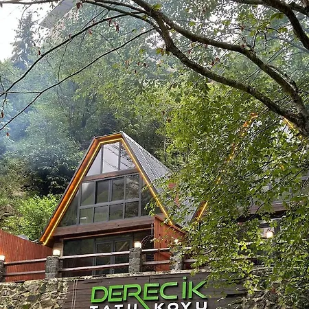 Derecik شقة Çamlıhemşin